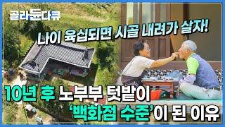 3000여평 100여가지의 농작물 ‘백화점 수준’의 텃밭을 가꾸는 노부부│농사를 위해 컴퓨터, 드론 다 배웠다│한국기행│#골라듄다큐