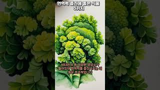 면역력 증진에 좋은 식품 3가지