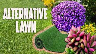 9 Alternatives to Grass Lawns - Grass Alternatives: Low-Maintenance Lawn - Lawn Alternatives