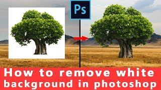 Remove White Background in Photoshop cc | Photoshop cc tutorial | Photoshop Vibes