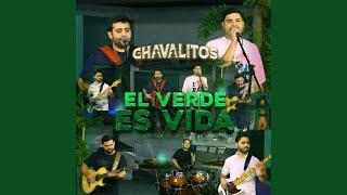 El Verde Es Vida (En Vivo)