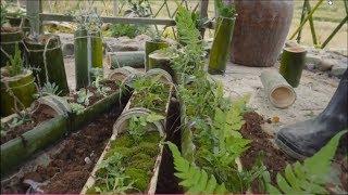 How to make clean vegetable garden with bamboo | 5 Minute Wonderful