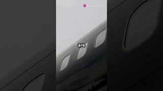 Why Are Airplane Windows Rounded?