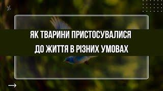 Як тварини пристосувалися до життя в різних умовах?#біологія