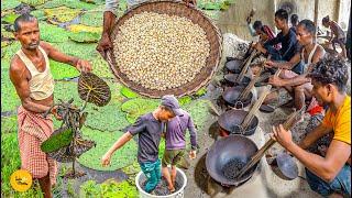 Biggest Makhana Factory Processगांव के लोग मिलकर बनाते हैं मखाने Rs. 1000/- Per Kg l Bihar Food