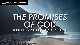 Experience MIRACULOUS Sleep with 100+ POWERFUL Bible Verses!