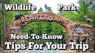 BEARizona Drive-Thru WildLife Park in Williams, Arizona | Walk-Thru Park | Review | Tips | Flagstaff