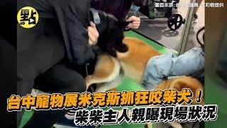 【每日必看】台中寵物展米克斯抓狂咬柴犬！柴柴主人親曝現場狀況 @中天新聞CtiNews