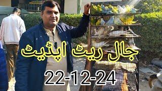 Birds Market Lalukhet Jaal Update 22-12-24 in Urdu