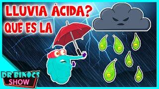 Qué es la lluvia ácida ? Aprenda sobre la lluvia ácida en 7 minutos | Video para todos los niños