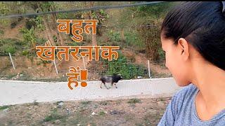 खतरनाक आवाज़ है इसकी ||कोई भी डर जाएगा  ||Pooja Alie vlogs||entertainment