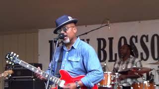 Bean Blossom Blues Fest 2017