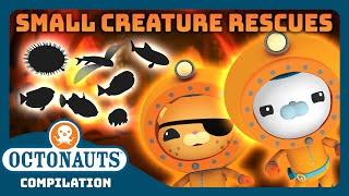 @Octonauts -  Small Creatures Rescues! 🪸 | 3 Hours+ Full Episodes Marathon