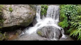 Paglajhora waterfalls near Tindhariya