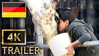 Giraffada - Offizieller Trailer [4K] [UHD] (Deutsch/German)