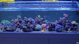 ReefBum: Peninsula Tank Live Webcam