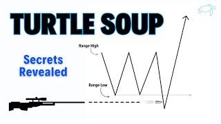 Simplifying The Turtle Soup - ICT Concepts