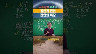 “ 타로캠퍼스 신종민 교수의 사주명리 배우기 정인과 편인 편인의 특징 #shorts”