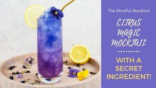 Citrus Magic Mocktail Recipe | Summer Mocktails and Non-Alcoholic Cocktails - The Mindful Mocktail