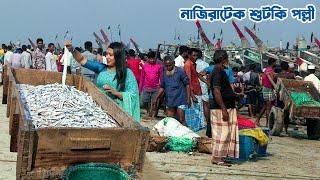 বাংলাদেশের সর্ববৃহৎ শুটকি পল্লী নাজিরারটেক || Panorama Documentary