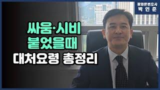 [박변통찰] 싸움,시비붙었을때 대처요령 총정리