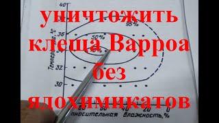 Проблема с клещём Варроа эффективно решена !!! ??? Нет яйца Варроа - нет клеща Варроа !!!