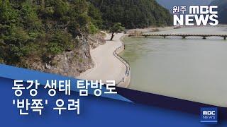 2020. 10. 19 [원주MBC] 동강 생태 탐방로 '반쪽' 우려