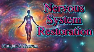 Nurturing the Nervous System |  Light Code Activation | Guided Meditation