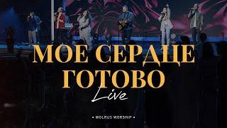 Моё сердце готово | Wolrus Worship | Миля Шаламова (Live)