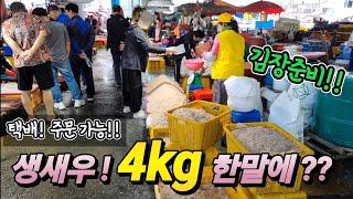 소래포구 난전 어시장 김장 생새우 나왔다! 택배 주문 가능? 돌게 5천원! 최신 알짜배기 정보 공개! korean fish market channel