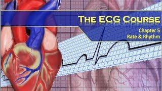 The ECG Course - Rate & Rhythm