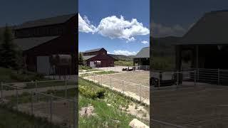 Colorado Horse Property | 175-acres | 3 Barns | Private Access to National Forest