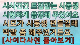 [사이다사연 모음] 갑질하는 시댁식구들 시원하게 엿먹였습니다. 사이다사연 사이다썰 미즈넷사연 응징사연 반전사연 참교육사연 라디오사연 핵사이다사연 레전드사연