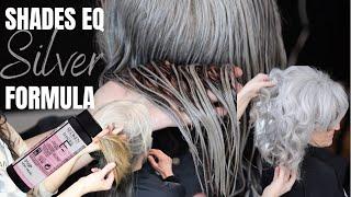 Gray blending hair tutorial + silver shades eq formula!