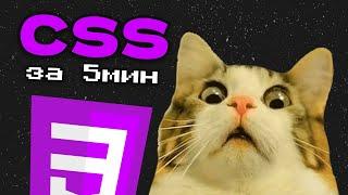 Изучи CSS за 5 МИНУТ | БАЗА CSS