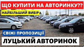 ЛУЦЬКИЙ АВТОРИНОК / СВІЖІ ПРОПОЗИЦІЇ // 31.10.2024р #автобазар  #автопідбірлуцьк #автопідбірлуцьк