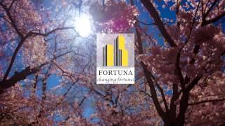 Fortuna-Changing Fortunes Film- IPL 2014