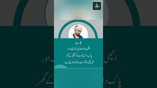 Sheikh Saadi Quotes  | #shorts | #sheikhsaadiquotes | #goldenwords | #trending