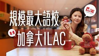 【ILAC】#加拿大遊學｜分級最細緻、規模最大的語言學校｜ 自助家遊學網StudyDIY