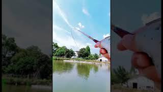 Outdoor fishing \ Fishing life #bassfishing #bigfish #fishman # fishingrod #angling