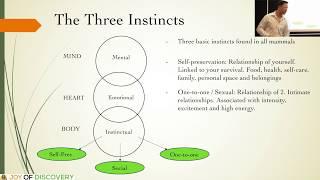 The Three Enneagram Instincts