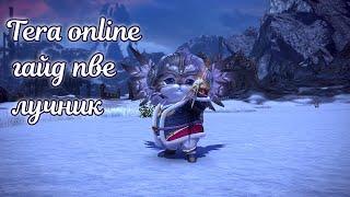  Tera online гайд лучник пве  актуально для Menma и Asura 2024 