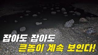 요즘 통통하게 살오른 이것! 물웅덩이에 많아도 너무 많은데! +먹방 /15만구독댓글이벤트