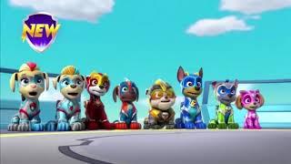 New Paw patrol Mighty Pups Super Paws with Mighty Twins promo