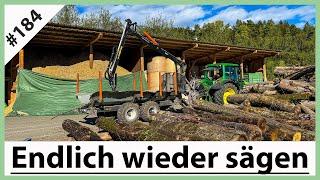 Esche Eiche Ahorn - Die Woodmizer ist wieder im Einsatz