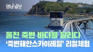 울진 '죽변 해안 스카이레일'  직접 타봤습니다~| 영남일보