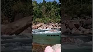 beauty of JaldhakaNorth bengal।Dooars #nature  #river #shorts #youtubeshorts #viral #jaldhaka