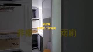 非標準型三房兩廁居屋