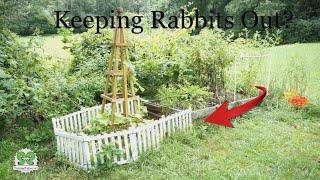 DIY Rabbit-Proof Garden Fence: Protect Your Plants with This Simple Solution!