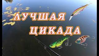 УБОЙНАЯ ПРИМАНКА ЦИКАДА просто Удивила тем Как на неё клюёт! Разловлен тонущий новый воблер!